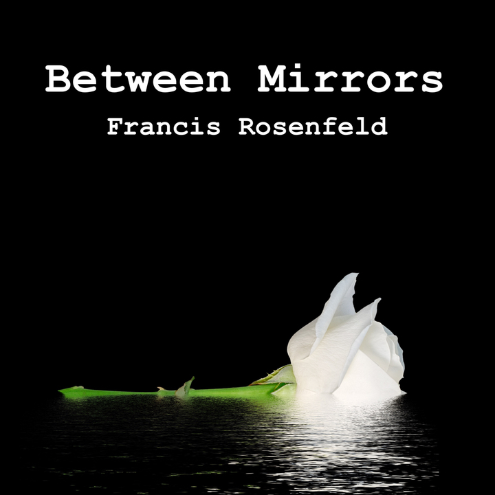Between Mirrors by Francis Rosenfeld